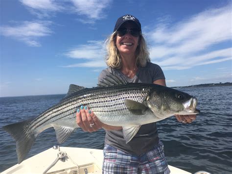 Portland Maine Fishing Charters For Striped Bass And Mackerel