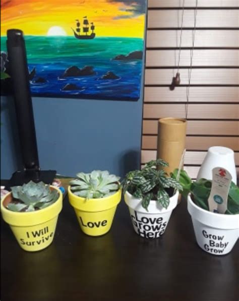 Painting terra cotta pots can be done quickly by following these easy steps. How to Paint Terracotta Pots - MeghanPugsly