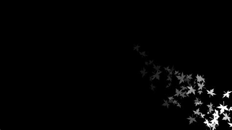 White Leaves On Side With Dark Black Background Hd Black Aesthetic