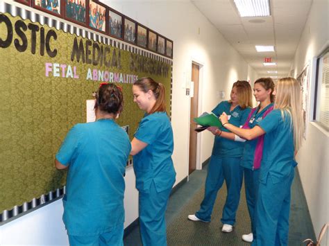 Diagnostic Medical Sonography Students Create a Bulletin Board - Keiser