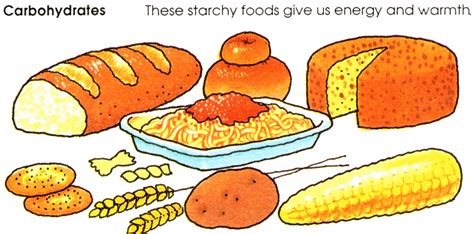 The energy created while carbohydrates (also known as carbs) break down during digestion becomes energy your body can use. Carbohydrate clipart - Clipground