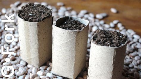 Cardboard Plant Pots