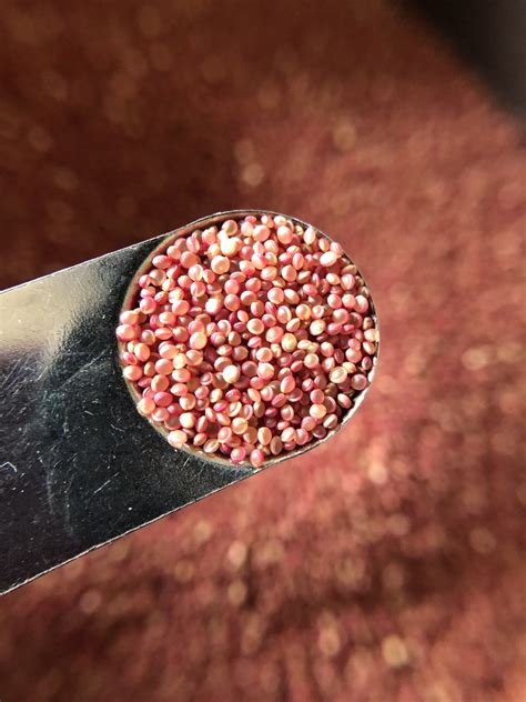 Deep Harvest Farm - Organic Seed from the Pacific Northwest