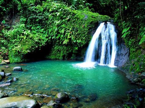 Guadeloupe , sometimes known as the butterfly island (french: Basse-Terre, stranden en watervallen - De eilanden van ...