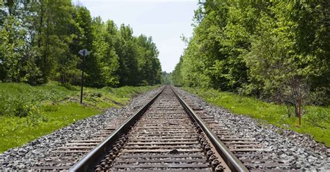 Railway Vegetation Management Davey Tree