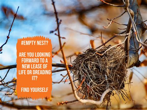 Are You Facing An Empty Nest North East Counselling Services