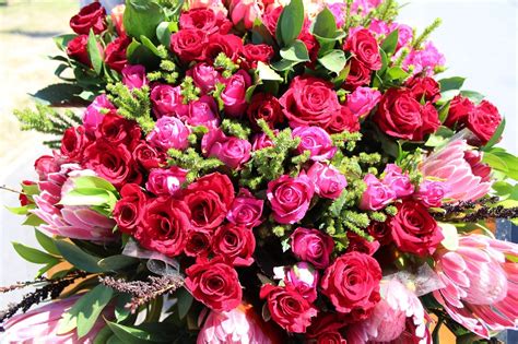 Maybe you would like to learn more about one of these? Send Virtual Flowers - EUTH FOUNDATION