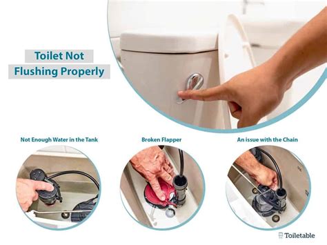Fixing A Toilet Guide With Tips And Tricks Ie Homeowners Edition