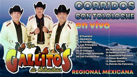 Los Gallitos De Chihuahua 2023 Disco Complete 🌵 Corridos Con Tololoche