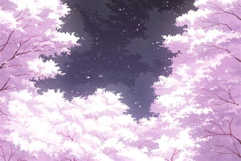 Wallpaper Petals Scenic Wind Sky Sakura Blossom Resolution