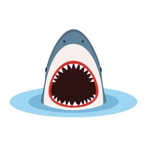 Shark Illustrations Royalty Free Vector Graphics And Clip Art Istock