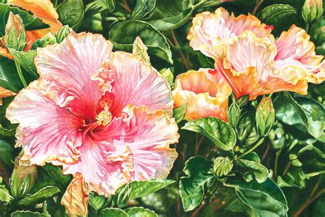 Harmony Hibiscus Floral Watercolor Paintings Original Watercolor
