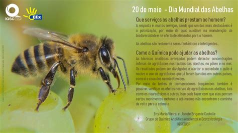 20 De Maio Dia Mundial Das Abelhas Instituto De Química De São Carlos