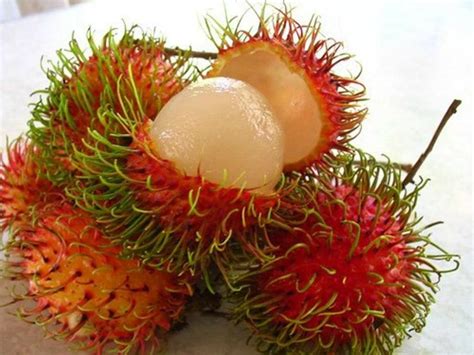 Hummm Exotic Food Exotic Fruit Tropical Fruits Fresh Fruits And