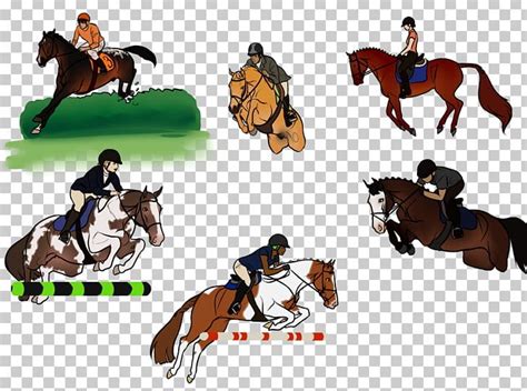 Hunt Seat Horse Stallion Rein Equestrian Png Clipart Bridle English