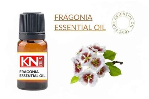 Fragonia Essential Oil Buy 100 Pure And Essential Oil From India