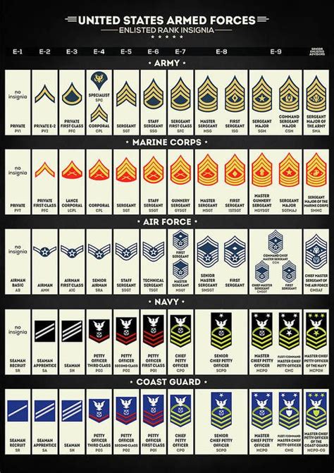 United States Armed Forces Enlisted Rank Insignia Poster By Hoolst