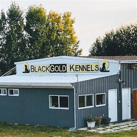 Black Gold Kennels Pet Boarding Service