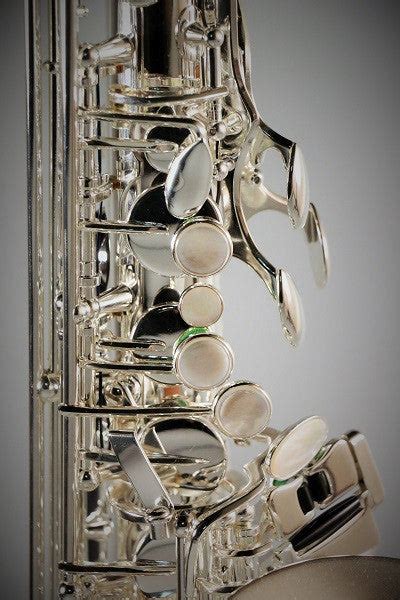 Rw Pro Series Alto Saxophone Double Silver Plated Robertos Winds
