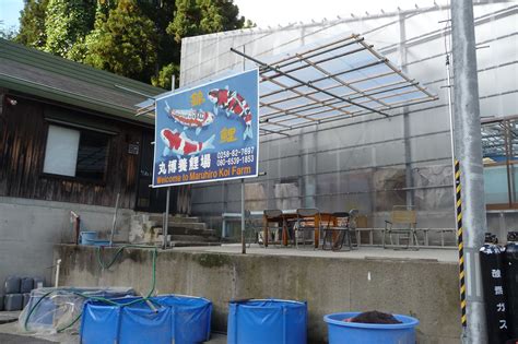 original Japan Koi und Teichzubehör - JAPAN KOI STORE original Japan