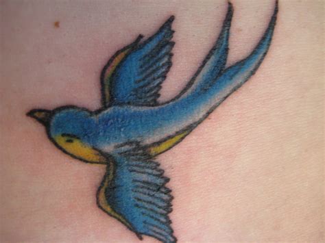 Having a jack sparrow tattoo has meaning and connection to the pirate life and specifically to his personality traits. Sparrow Tattoos - Cute Sparrow Tattoo Designs, Ideas ...