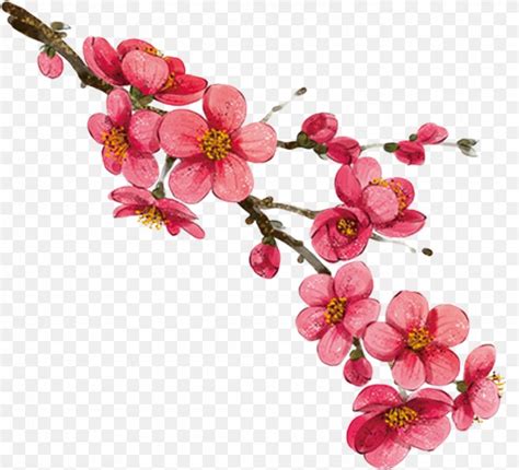 Download Cartoon Png 1556x1412px Cartoon Blossom Branch Cherry