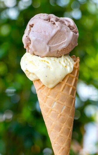 33 Interesting And Fun Facts About Ice Cream Southern Home Express