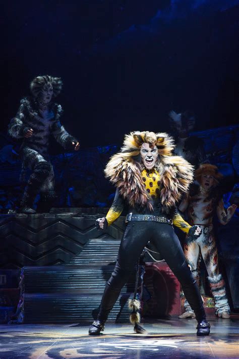 Pin On Cats Revival On Broadway