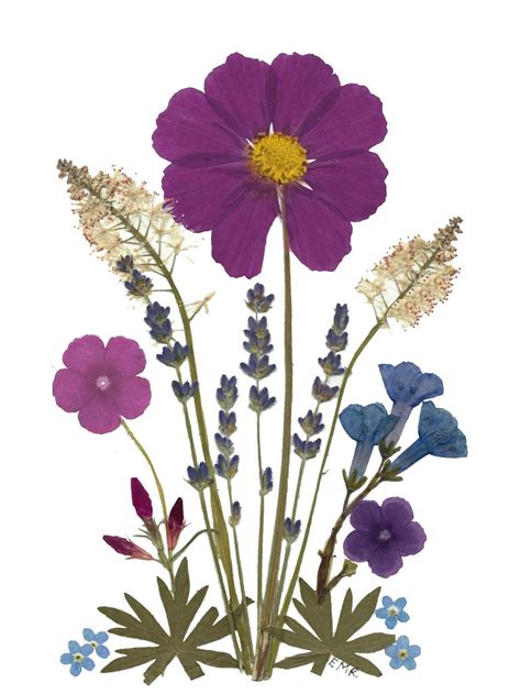 Check spelling or type a new query. C42 Cosmos and Bluebells | website | Pressed flower art ...