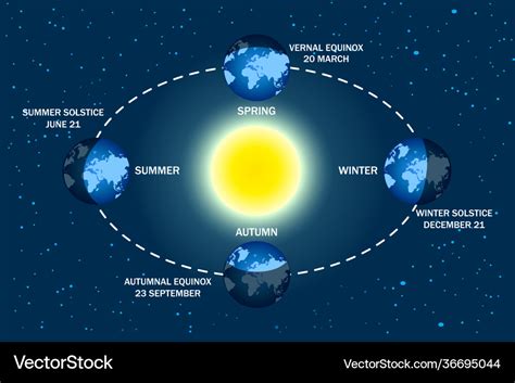 Earth Seasons Diagram Royalty Free Vector Image