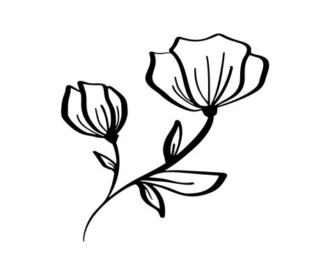 Flowers Pictures Drawing Images Drawing Flowers Images Stock Photos