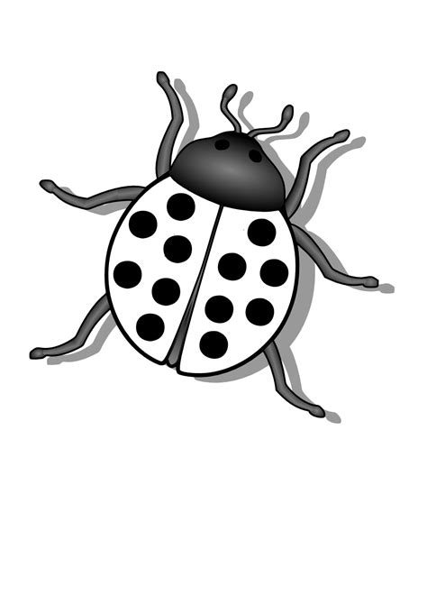 Bugs Png Black And White Transparent Bugs Black And Whitepng Images