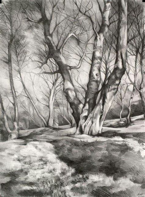 Pencil landscape in 2019 | Tree drawings pencil, Pencil drawings, Pencil drawing tutorials