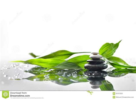 Zen Stones And Green Bamboo Stock Image Image Of Beauty Forest 26707023