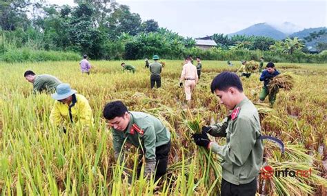 Nhận được tin báo, công an tp.quảng ngãi phối hợp phòng cảnh sát hình sự, công an tỉnh đã bộ giáo dục và đào tạo đề ra quyết tâm tổ chức kỳ thi tốt nghiệp thpt 2021 theo đúng kế hoạch đã đặt. Công an, bộ đội, thanh niên xuống đồng "gặt lúa" giúp dân ...