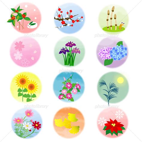 Download 四季の花 四季の実37 Images For Free