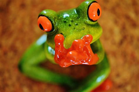 Free Images Sweet Animal Cute Green Red Ceramic Amphibian Fig