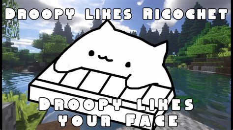 Bongo Cat Performs The Minecraft Droopy Songs Because He Is Bored Youtube
