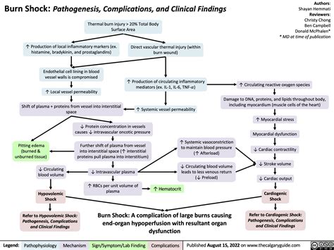 Burn Shock Pathogenesis Complications And Clinical Findings Calgary Guide