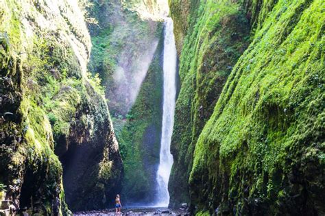 Oneonta Falls Oneonta Gorge Oregon Fun Life Crisis