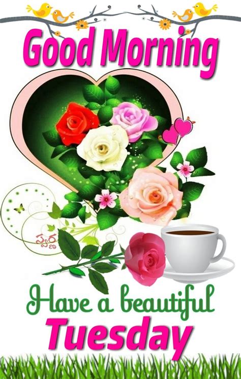 Wishing you a blooming great day! Pin by Murali on శుభోదయం | Good morning tuesday, Good ...