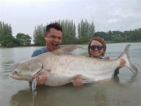 Happy Couple Happy Fishing Giant Chaophraya Catfish Bkkguy