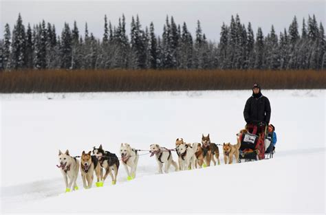 French Iditarod Musher First To Reach The Bering Sea Coast The