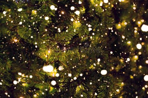Christmas Pine Tree With Light Bokeh And Snow Fall On Blurred