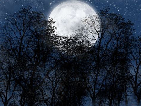 B9 f# eu trai e a lua foi testemunha. Baixar a imagem para telefone: Paisagem, Árvores, Noite, Lua, grátis. 19322.