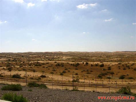 United Arab Emirates Arabian Peninsula Natural Landscapes And Nature