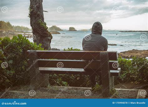 Sad And Lonely Man Sitting On Bench Stock Photo Image Of Nature Feel