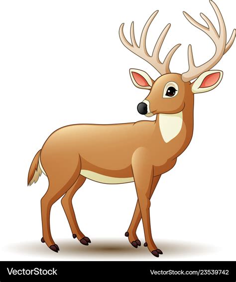 Cartoon Deer Isolated On White Background Vector Image