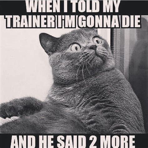 This Is Me To My Personal Trainer Johnrobbo69 Humour Fitness Gym
