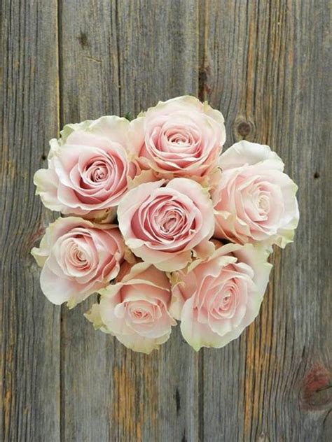 Wholesale Pink Mondial Pink Roses Delivered Online Flowerfarm
